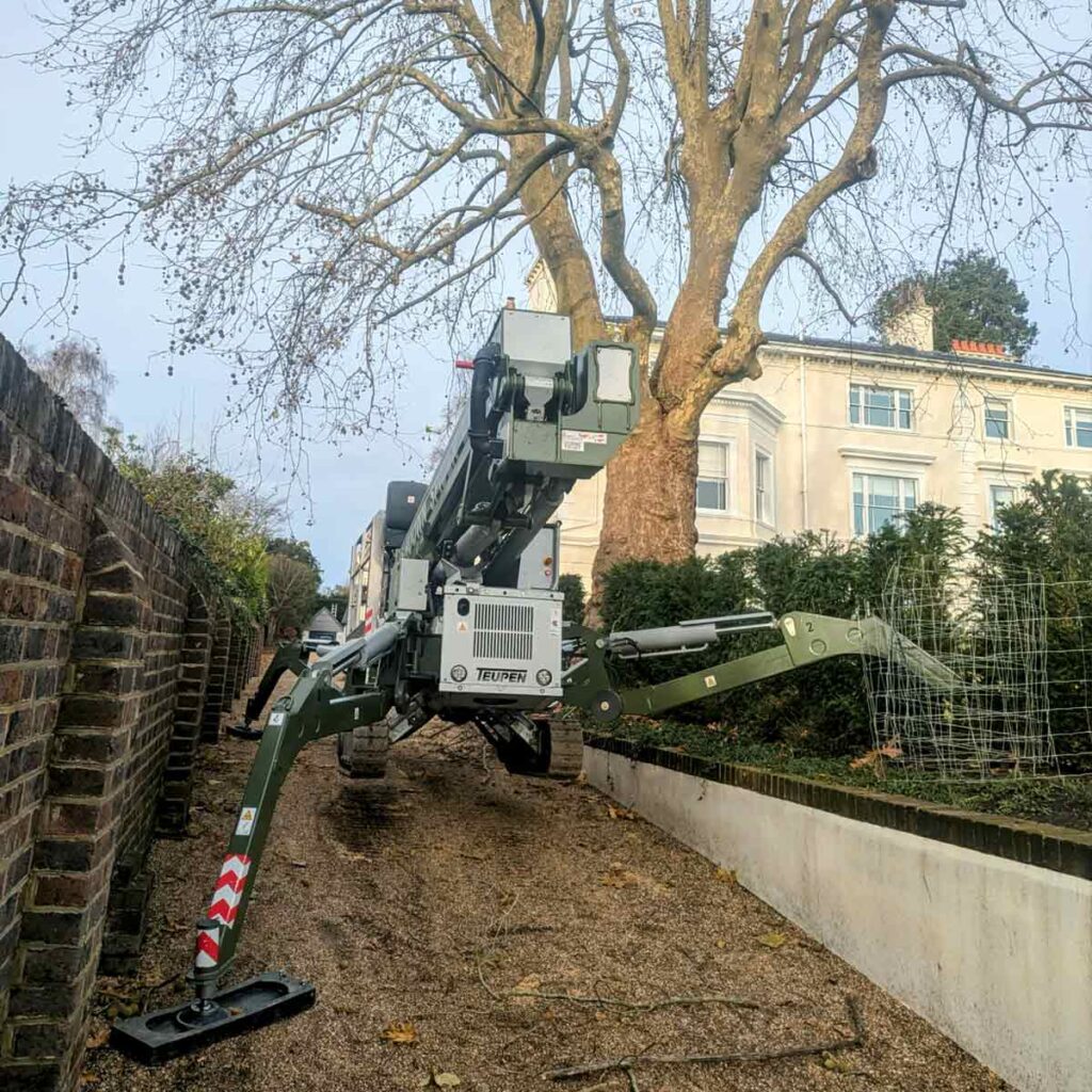 Cherry Picker Hire for Tree Surgery